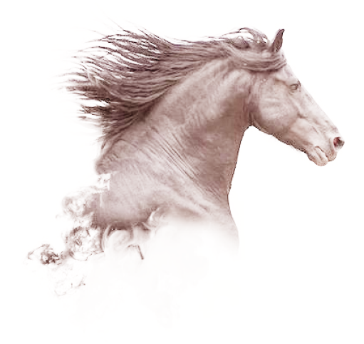 horse art